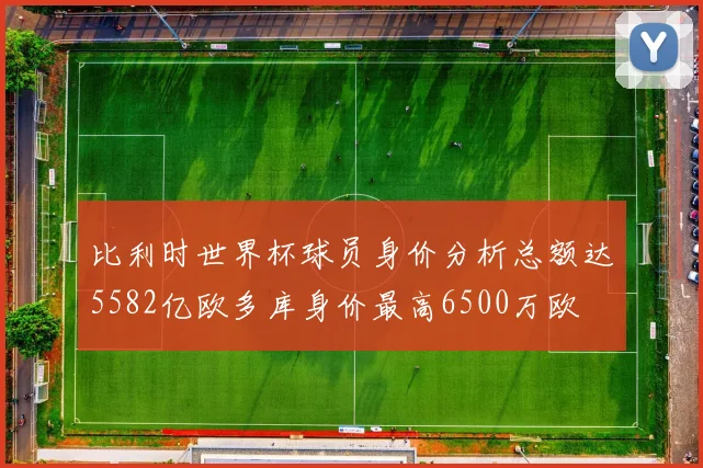 比利时世界杯球员身价分析总额达5582亿欧多库身价最高6500万欧