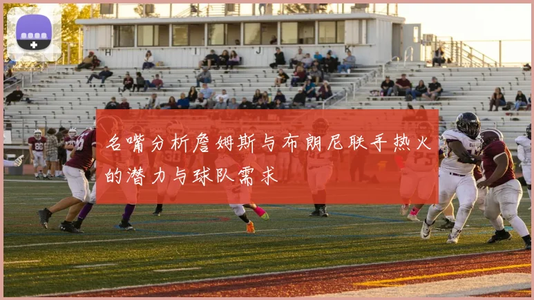 名嘴分析詹姆斯与布朗尼联手热火的潜力与球队需求