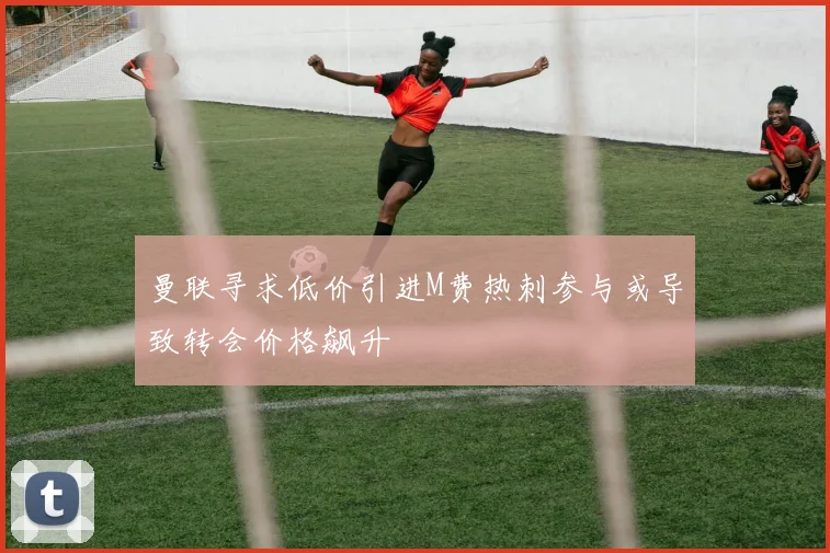 曼联寻求低价引进M费热刺参与或导致转会价格飙升