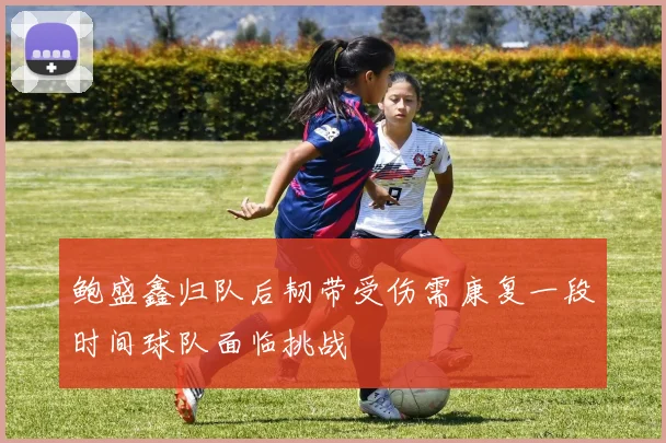 鲍盛鑫归队后韧带受伤需康复一段时间球队面临挑战