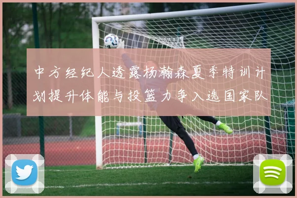 中方经纪人透露杨瀚森夏季特训计划提升体能与投篮力争入选国家队